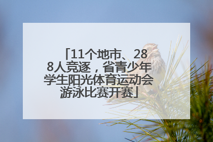 11个地市、288人竞逐，省青少年学生阳光体育运动会游泳比赛开赛