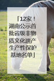 12家！湖南公示首批省级非物质文化遗产生产性保护基地名单