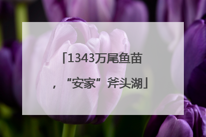 1343万尾鱼苗，“安家”斧头湖