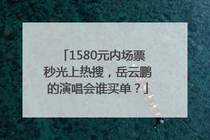 1580元内场票秒光上热搜，岳云鹏的演唱会谁买单？
