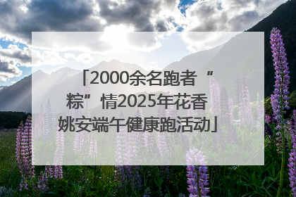 2000余名跑者“粽”情2025年花香姚安端午健康跑活动