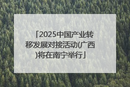 2025中国产业转移发展对接活动(广西)将在南宁举行