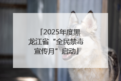 2025年度黑龙江省“全民禁毒宣传月”启动