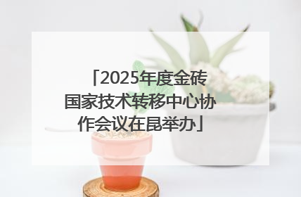 2025年度金砖国家技术转移中心协作会议在昆举办