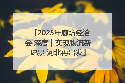 2025年廊坊经洽会·深度｜实现物流新愿景 河北再出发