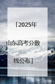 2025年山东高考分数线公布