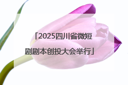 2025四川省微短剧剧本创投大会举行