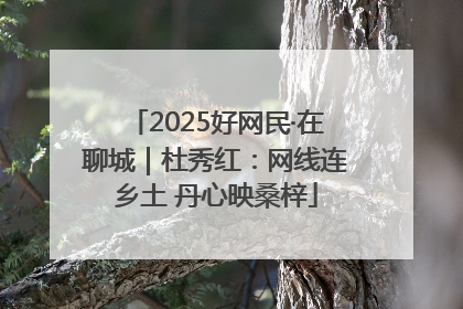 2025好网民·在聊城｜杜秀红：网线连乡土 丹心映桑梓