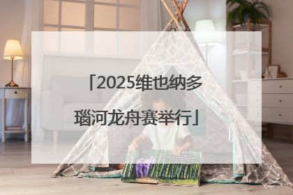 2025维也纳多瑙河龙舟赛举行