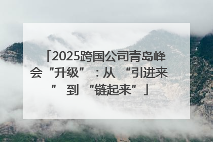2025跨国公司青岛峰会“升级”：从 “引进来” 到 “链起来”