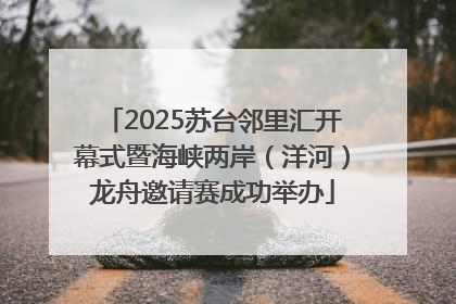 2025苏台邻里汇开幕式暨海峡两岸（洋河）龙舟邀请赛成功举办