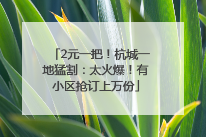 2元一把！杭城一地猛割：太火爆！有小区抢订上万份