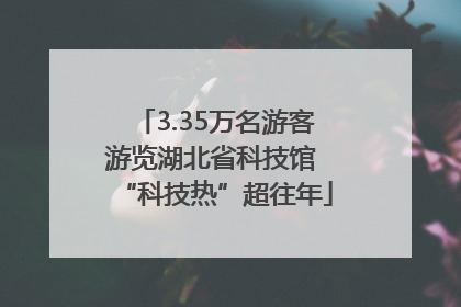 3.35万名游客游览湖北省科技馆 “科技热”超往年