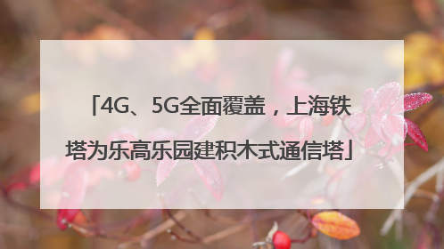 4G、5G全面覆盖，上海铁塔为乐高乐园建积木式通信塔