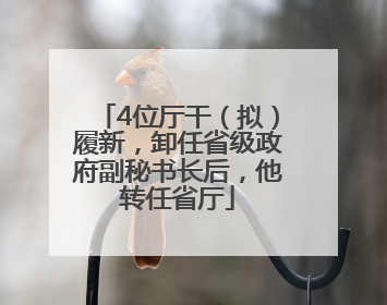 4位厅干（拟）履新，卸任省级政府副秘书长后，他转任省厅