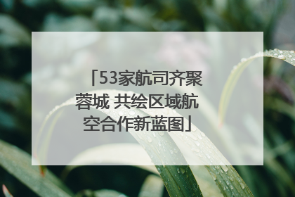 53家航司齐聚蓉城 共绘区域航空合作新蓝图