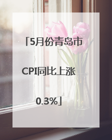 5月份青岛市CPI同比上涨0.3%