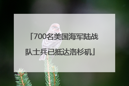 700名美国海军陆战队士兵已抵达洛杉矶