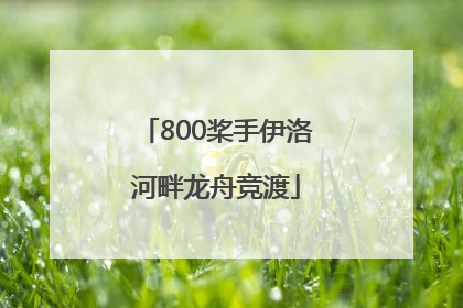 800桨手伊洛河畔龙舟竞渡
