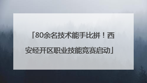 80余名技术能手比拼！西安经开区职业技能竞赛启动