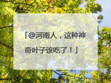@河南人，这种神奇叶子该吃了！