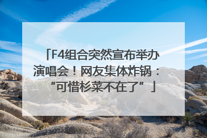 F4组合突然宣布举办演唱会！网友集体炸锅：“可惜杉菜不在了”