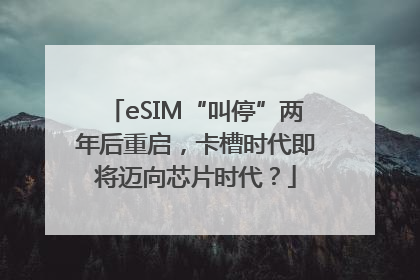 eSIM“叫停”两年后重启，卡槽时代即将迈向芯片时代？